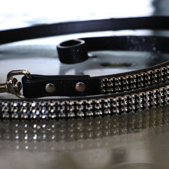 Runway Ready - Glammed Out Pet Leash - Picture 2 of 10